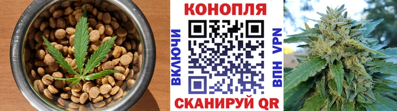 маркетплейс Telegram блэк спрут tor Еда ТГК конопля Переславль-Залесский что такое