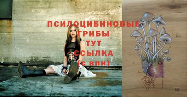 мет Вяземский