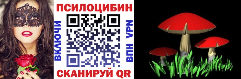 Псилоцибиновые грибы MAGIC MUSHROOMS  Переславль-Залесский 